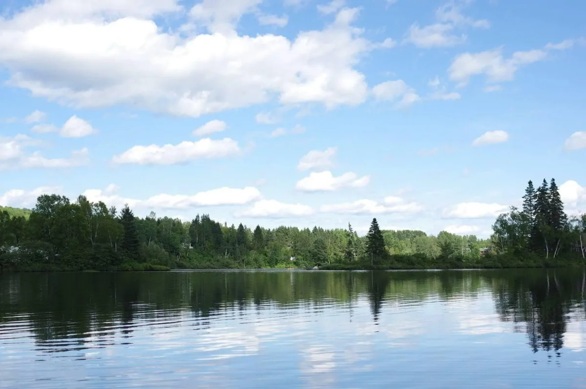 Camping Lac Bellemare photo 8