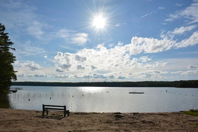 Pineaires Resort photo 4