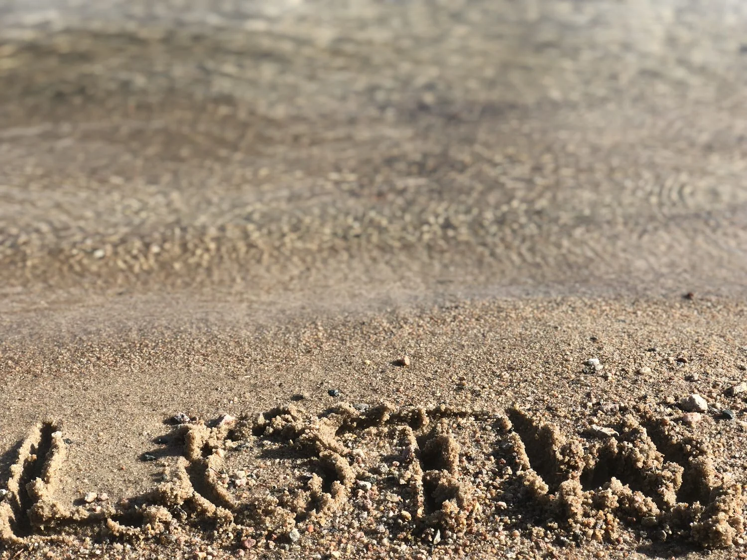 Pye's Landing photo 9