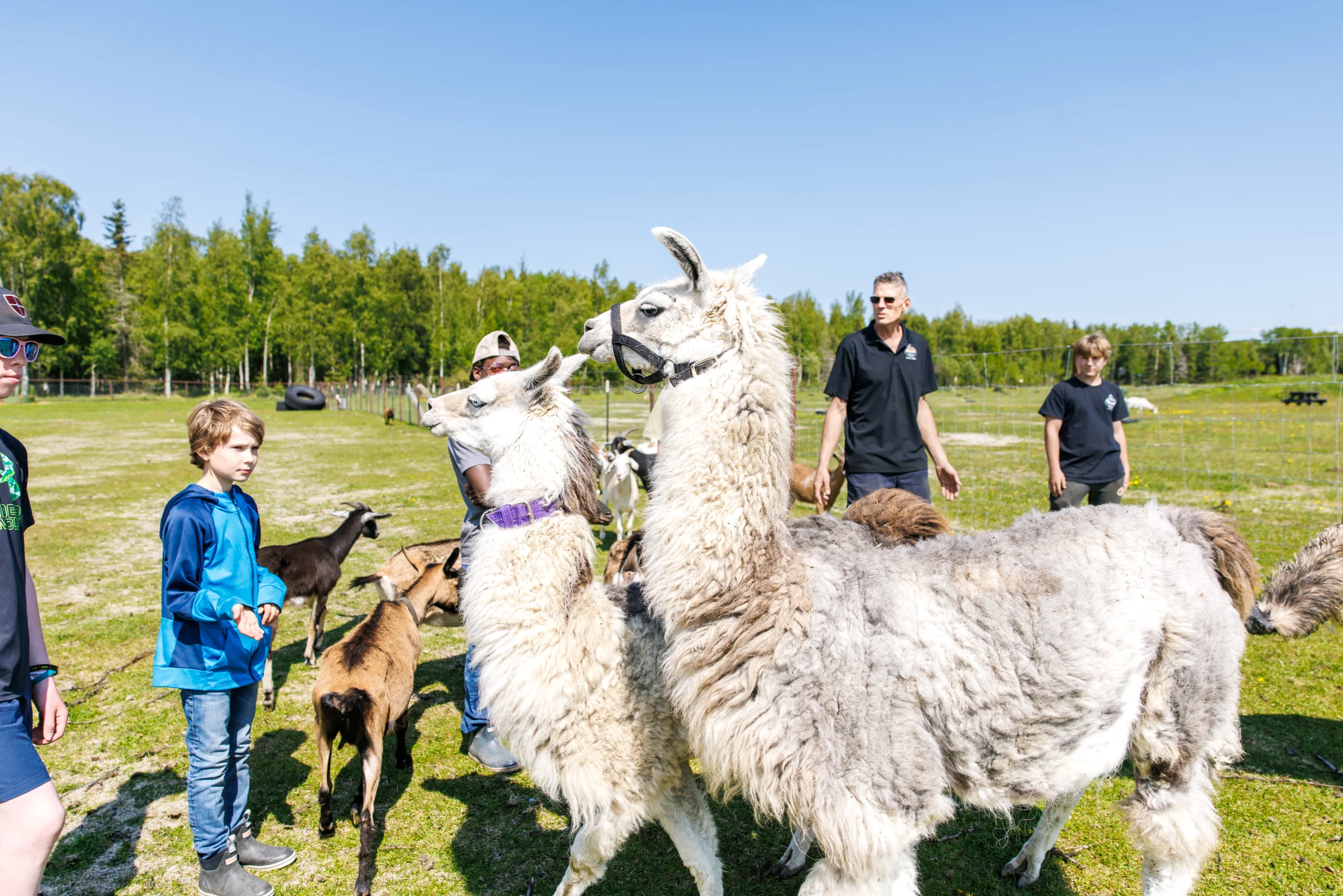 Diamond M Ranch Resort activities