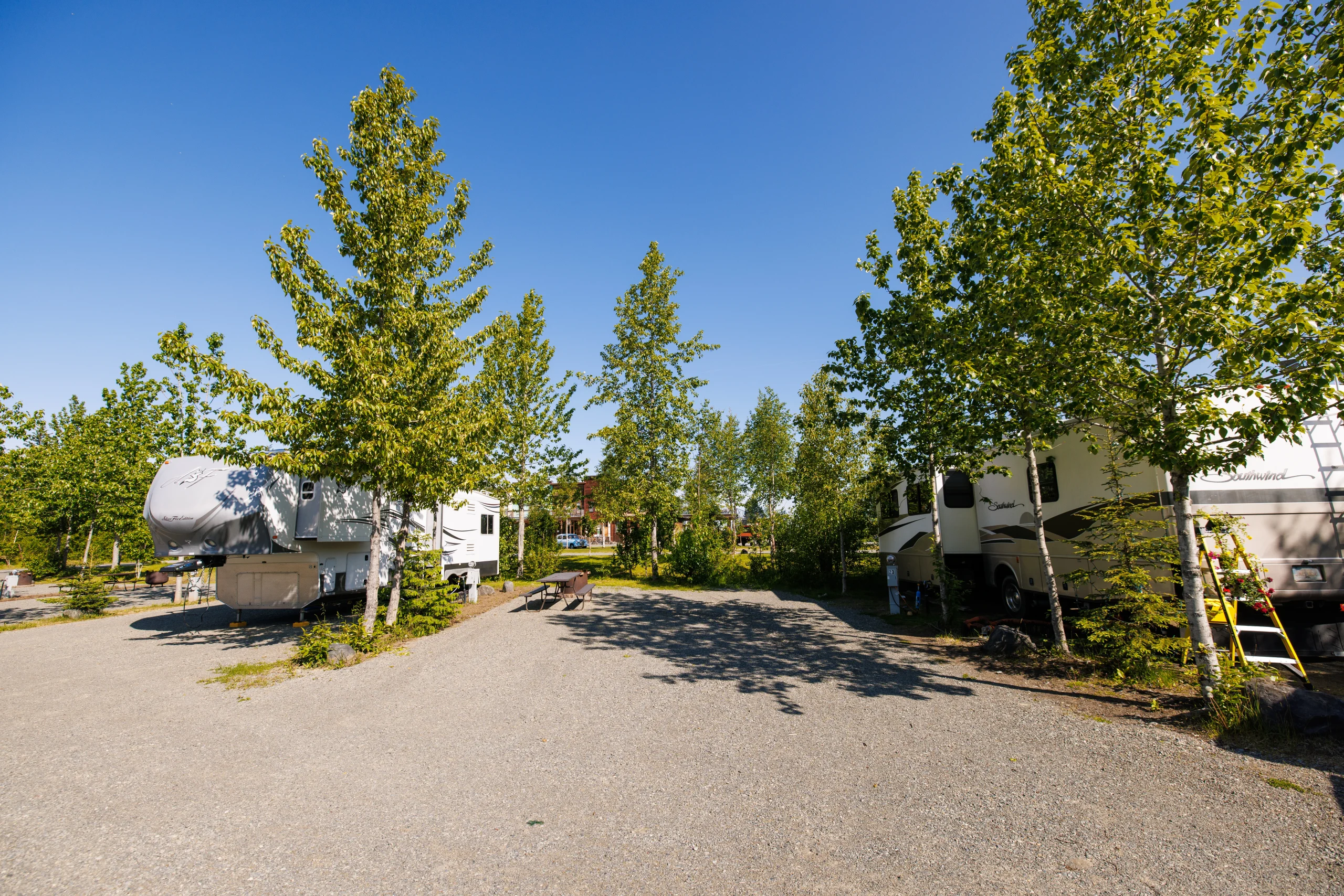 Diamond M Ranch Resort photo 3