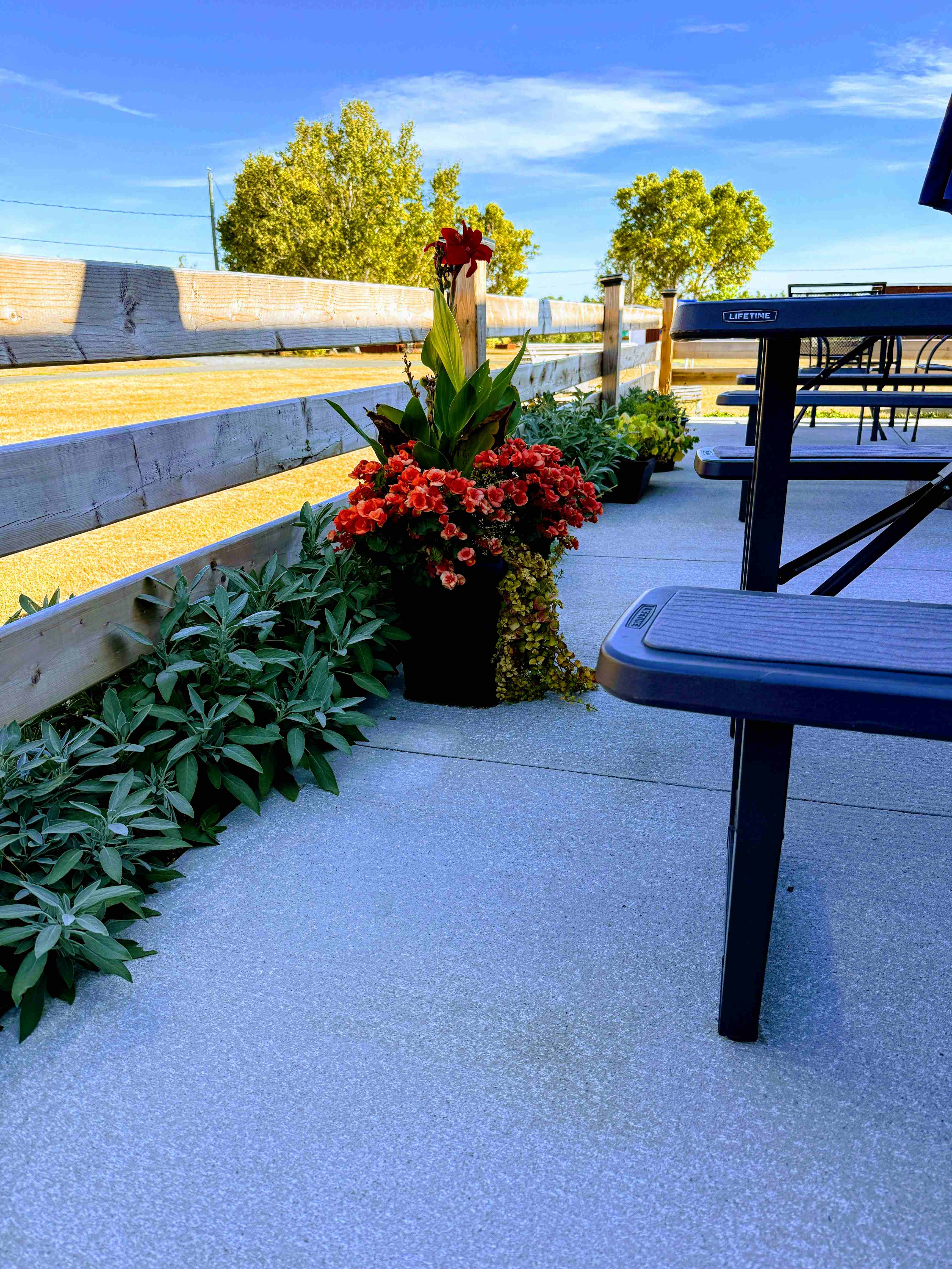 Ocean River RV Resort and Campground photo 8