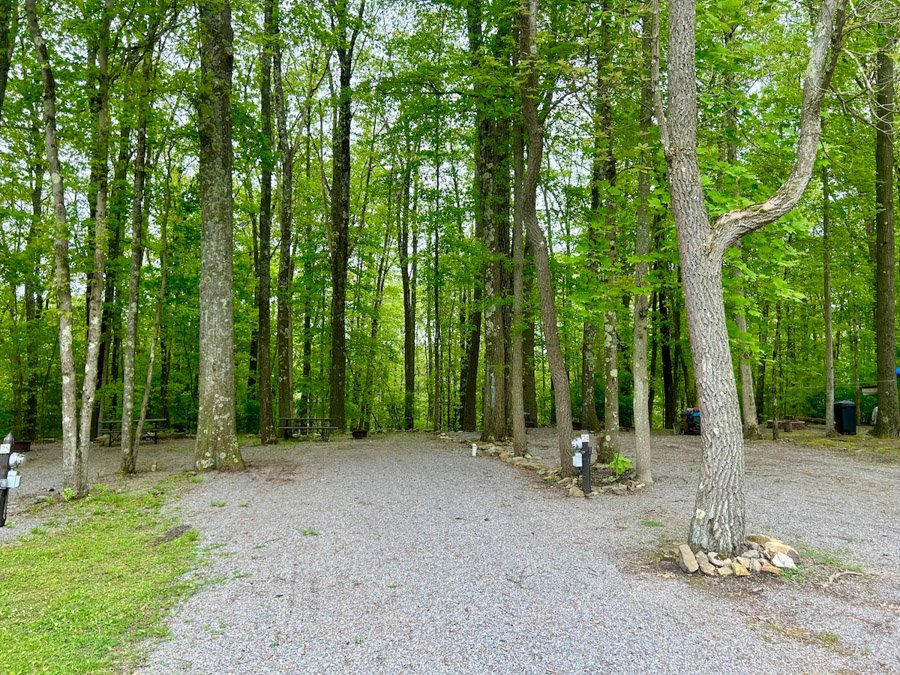 Rustic Acres RV Resort & Campground photo 6