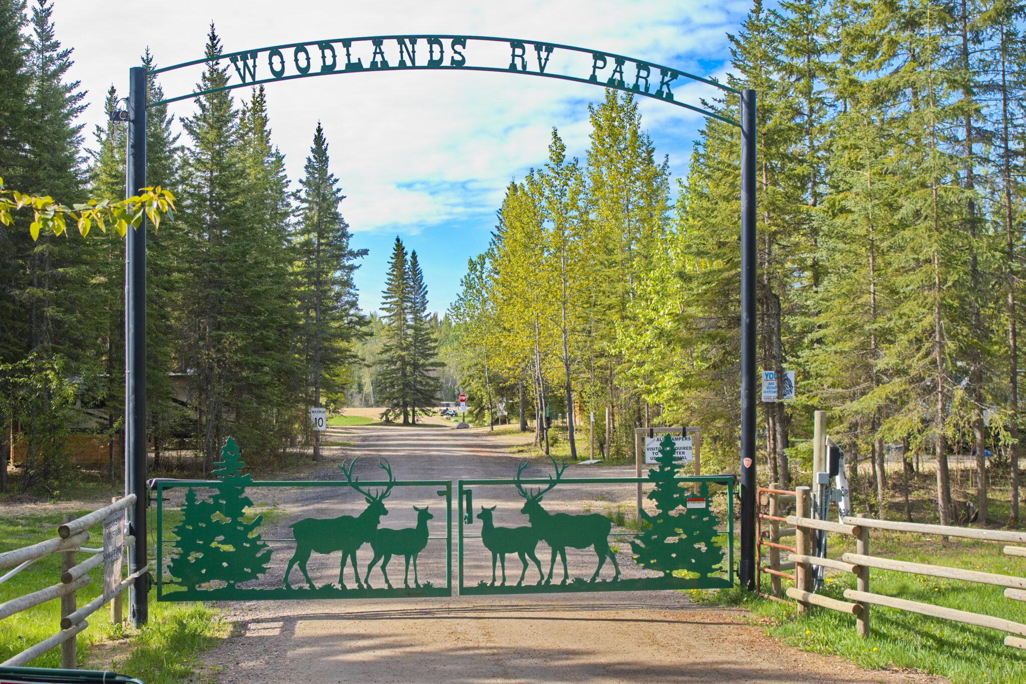 Woodlands RV Park and Marina photo 6