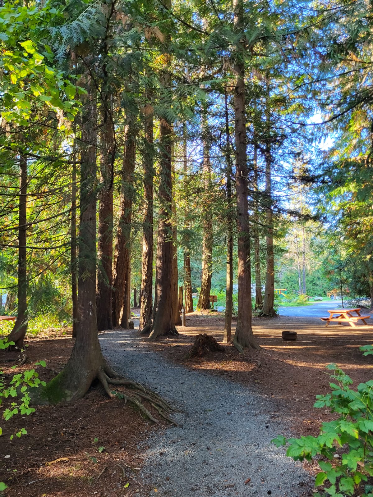 Coombs Country Campground activities