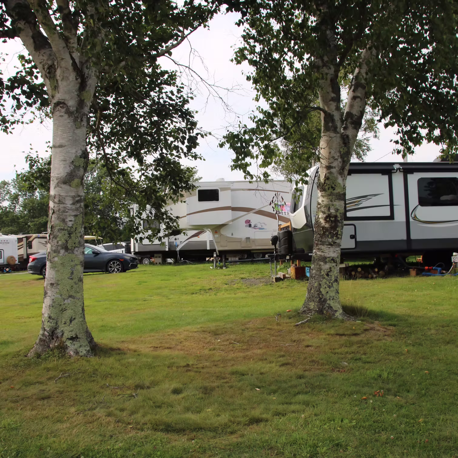 Jaggars Point Oceanfront Campground Resort photo 4