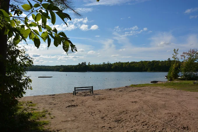 Pineaires Resort photo 3