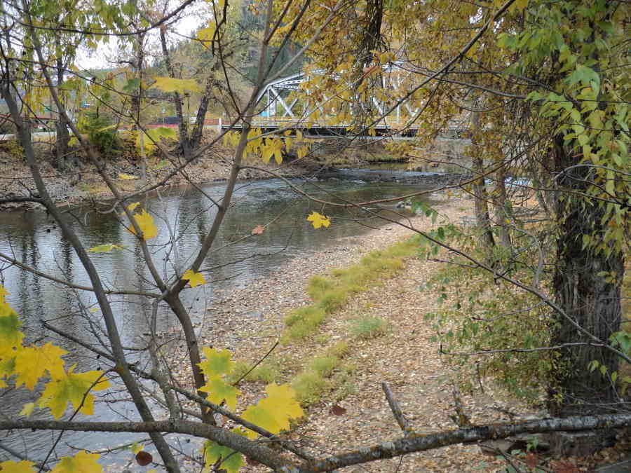 Riverside Court RV & Cabins photo 4