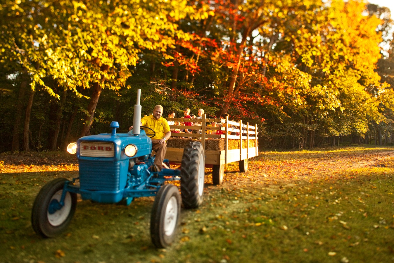 Sussex KOA Journey photo 4