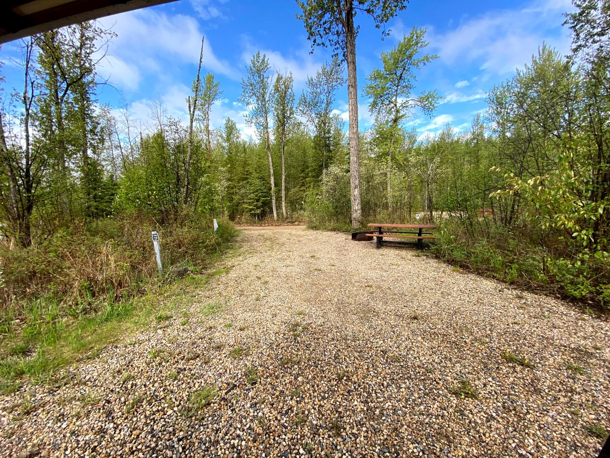 Willey West Campground photo 2