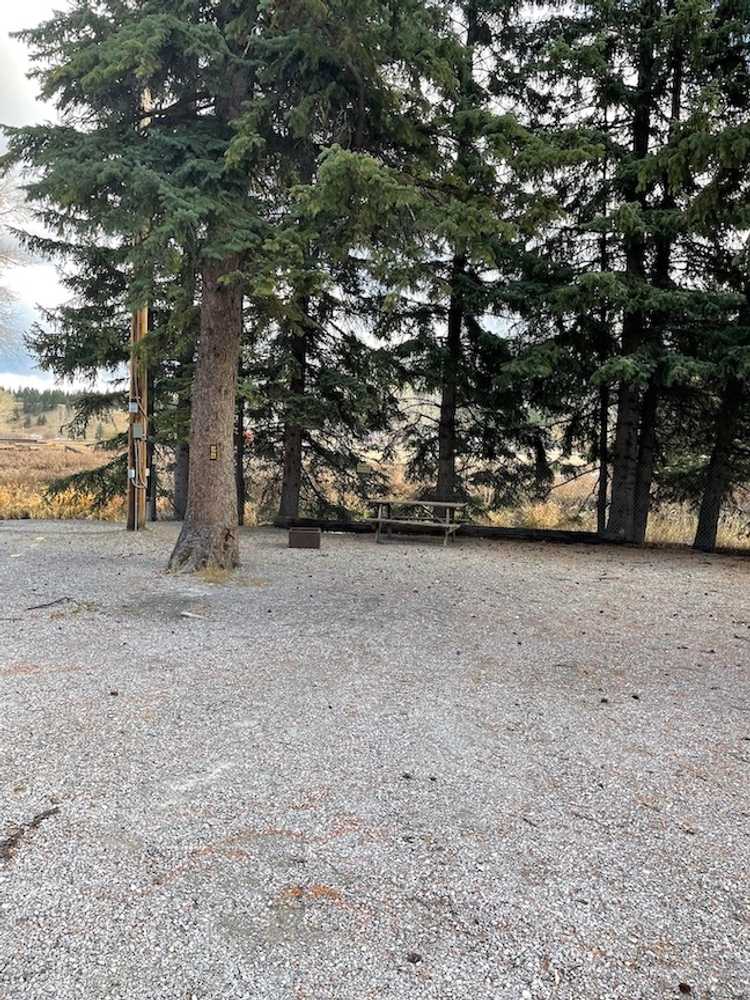 Lost Lemon Campground photo 9