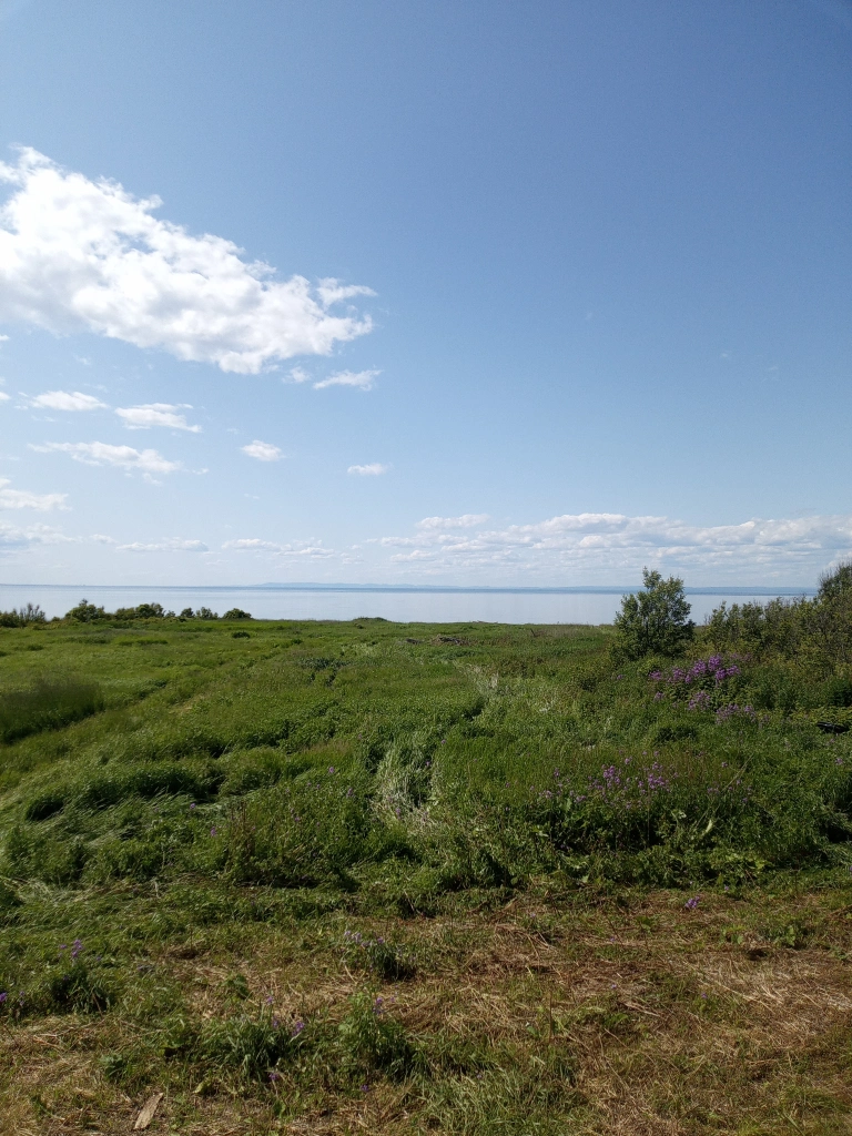 Clearwater RV Park & Campground photo 5