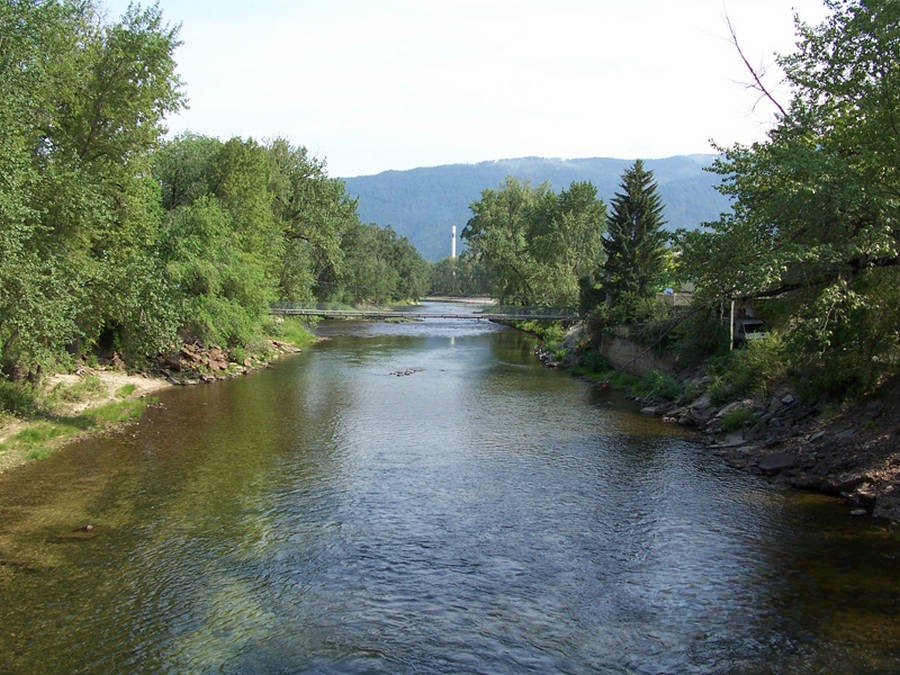 Riverside Court RV & Cabins activities