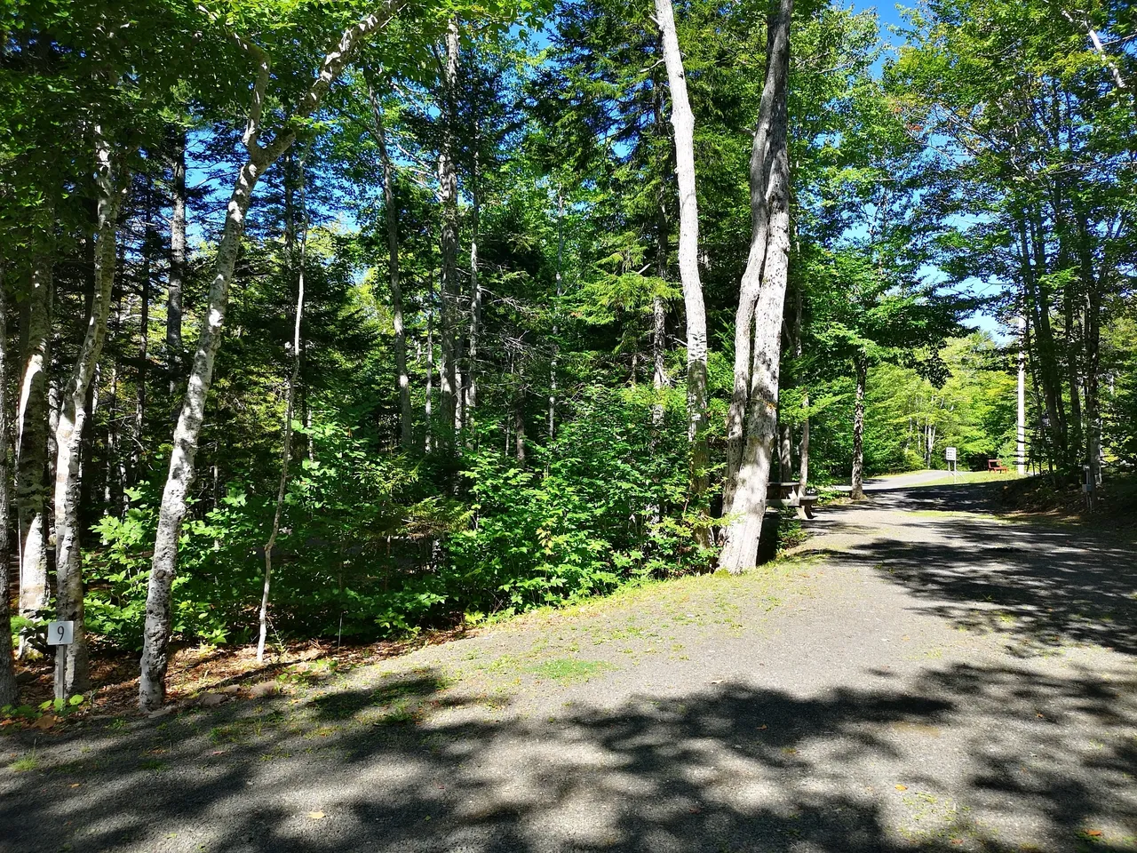Mountain Top Cottages & Campground photo 2