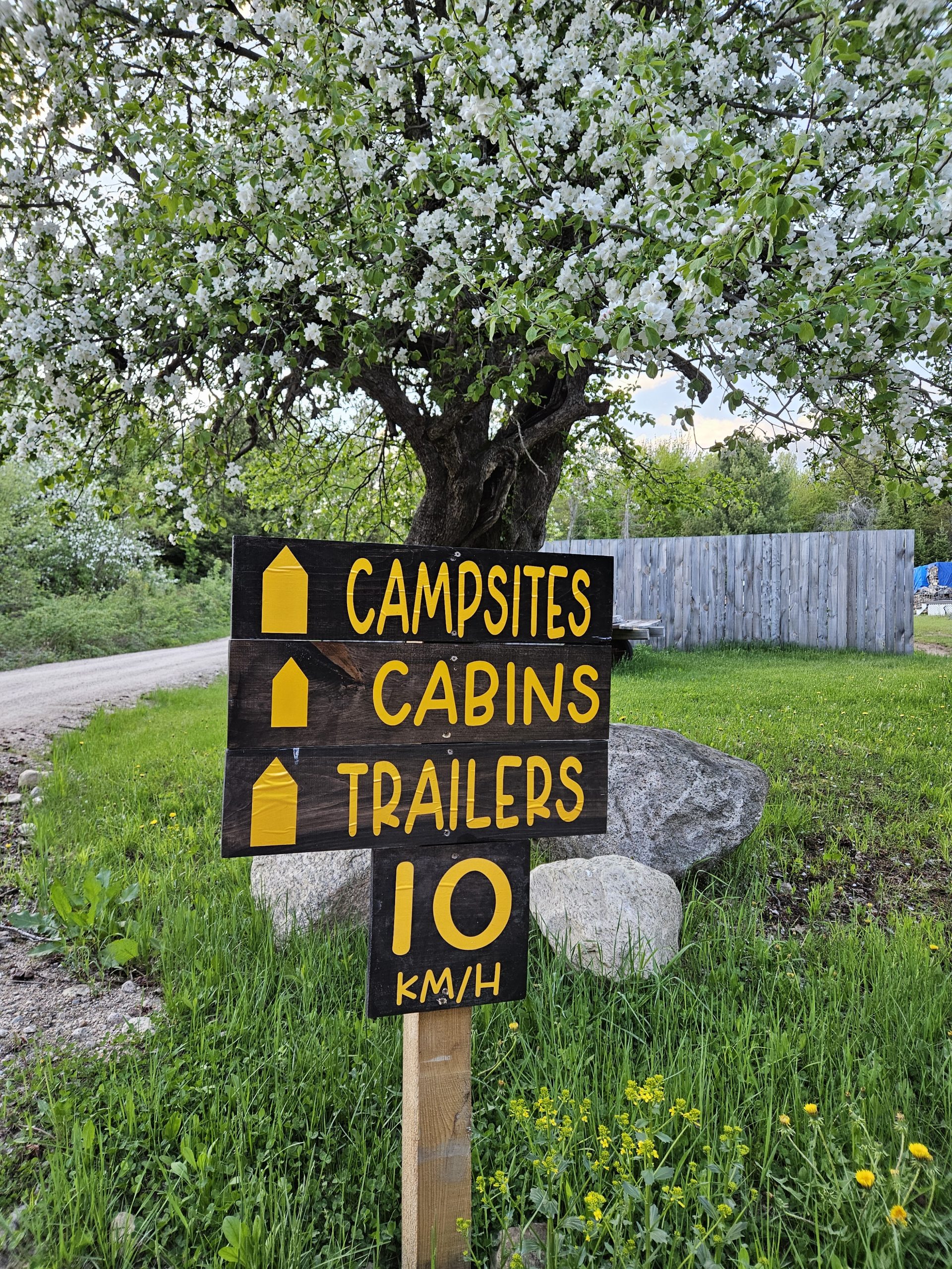 Brennan's Hill Camping & Cabins photo 2