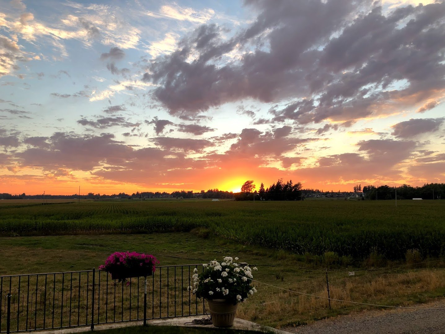 Oostema Farmstead photo 4