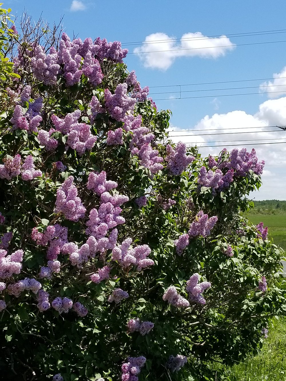 Clearwater RV Park & Campground photo 5
